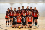 Sheffield Springers (Womens Premier)